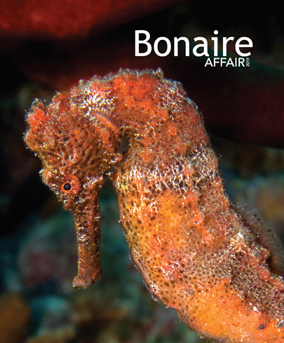 Bonaire Affair